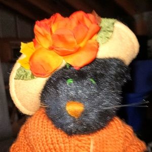 BOYD'S BLACK CAT DRESSY